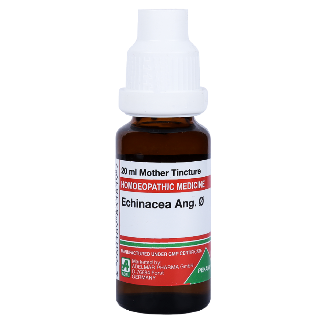 Adel Echinacea Angustifolia 1X (Q) (20ml)